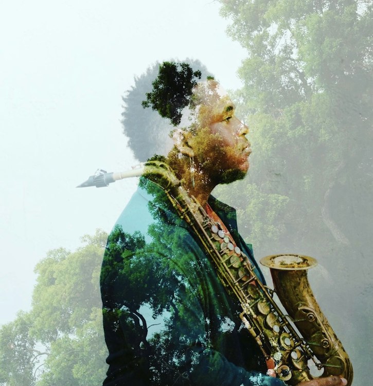Sean Harrison - Musician