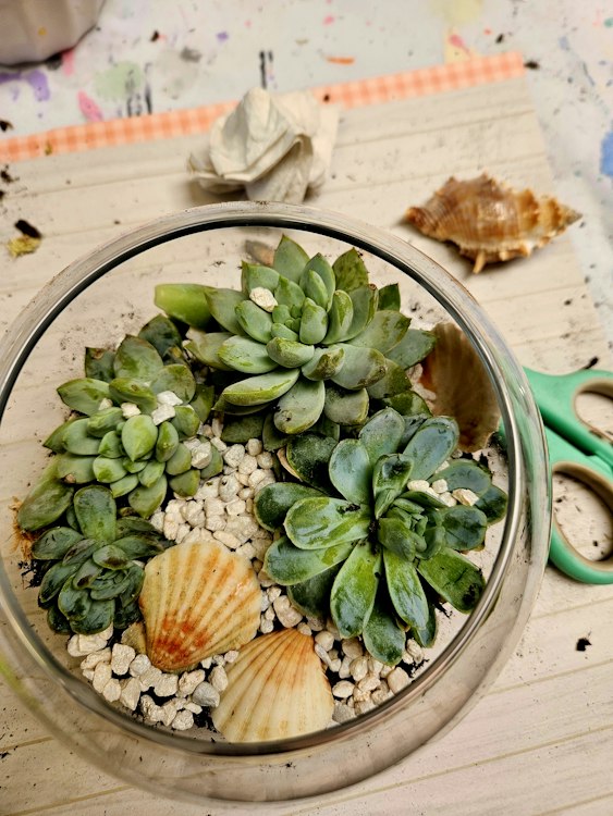 Luscious Terrariums Workshop
