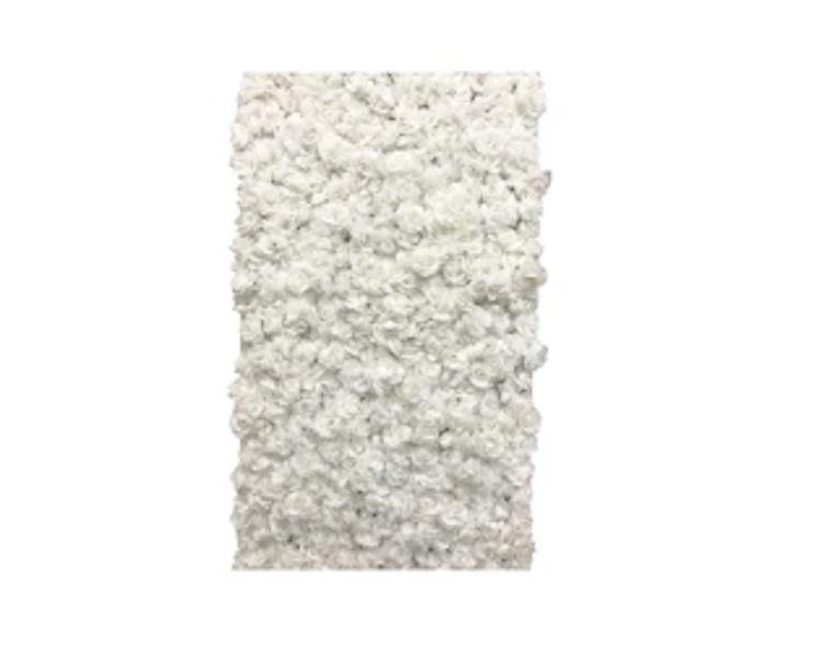 White Rose Wall