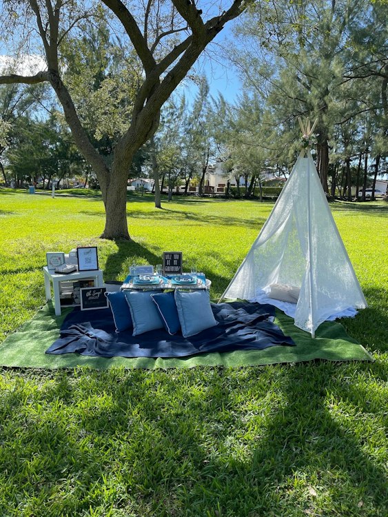 Luxury Picnic For 5 Guests