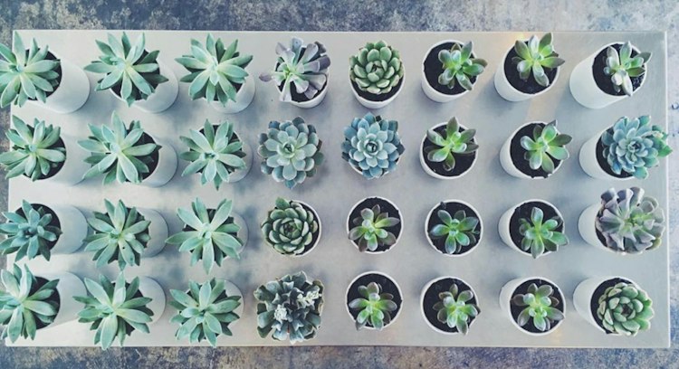Planting Station
