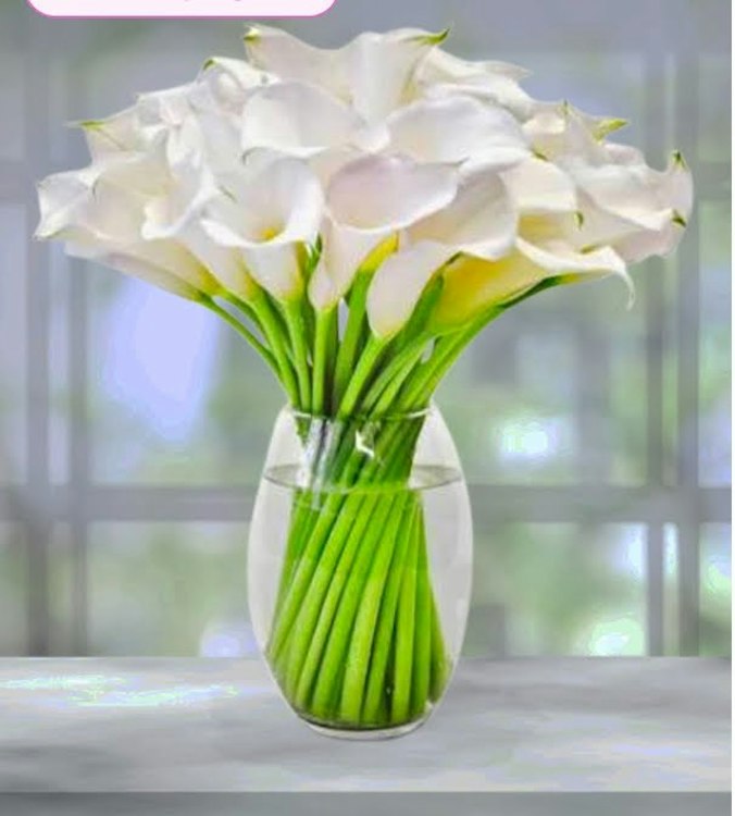 Brendesha's Calla Lilies