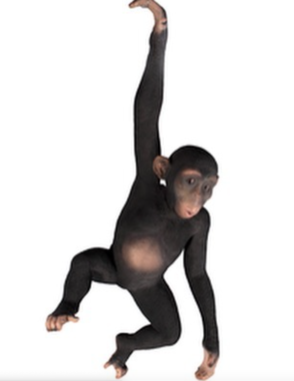 One Handed Hanging Monkey