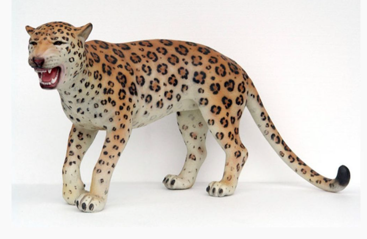 Leopard