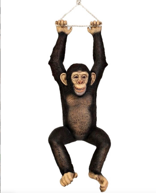 Monkey With Rope