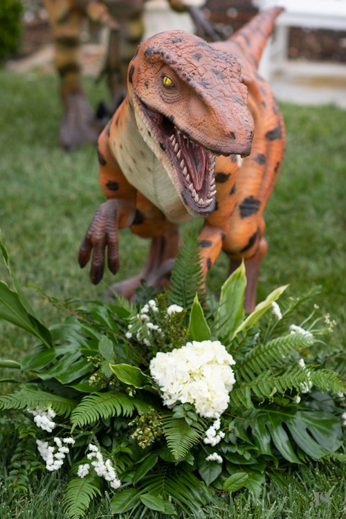 Velociraptor