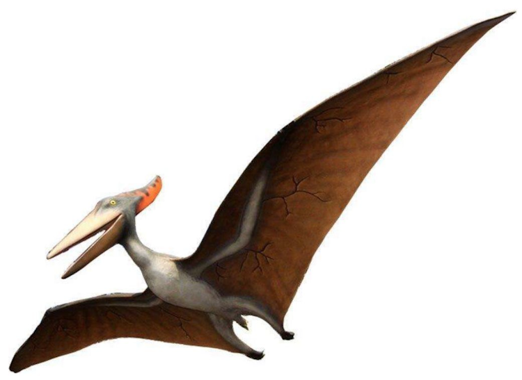Pteranodon XL