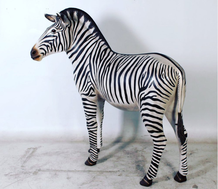 Zebra