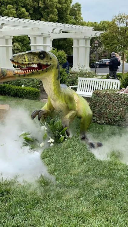 Dromarosaurus