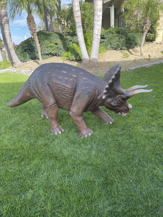 Triceratops