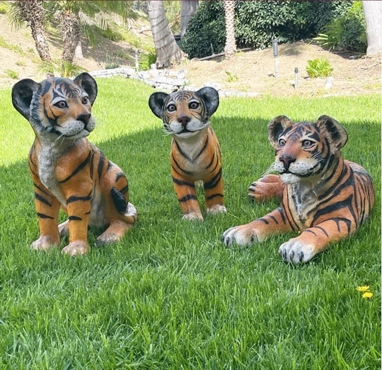 Laying Tiger With Cub