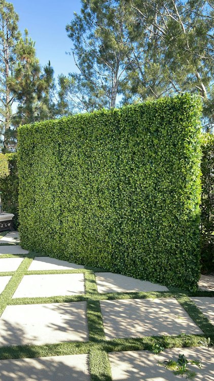Green Forrest Backdrop