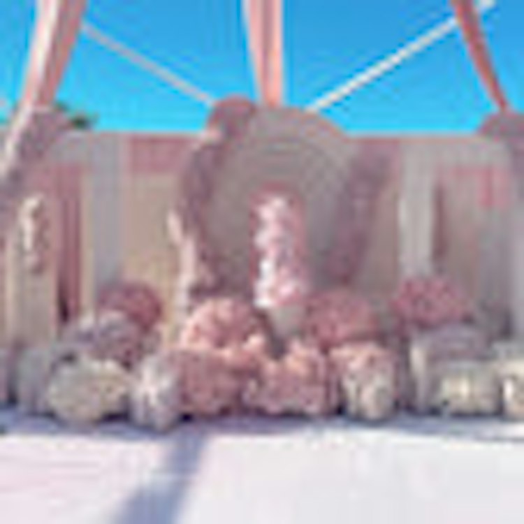 8 Piece Arch Backdrop