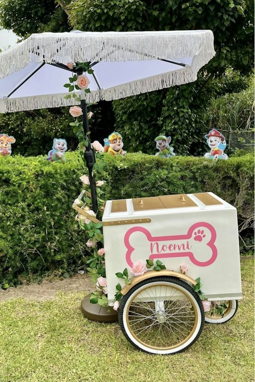 Ice Cream (Paleta) Cart