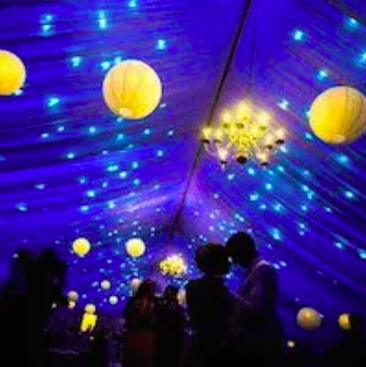 Starry Night Lighting