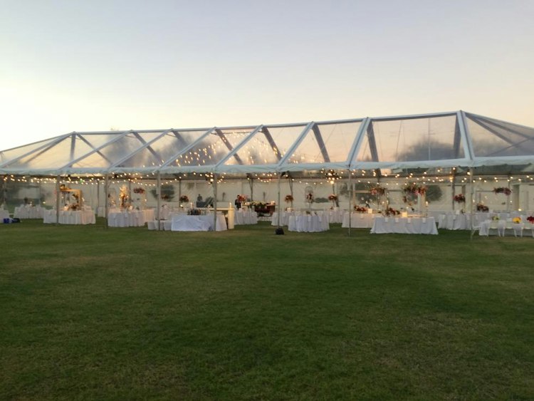 Open Faced Clear Tent