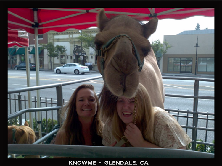CAMEL RIDES and an exotic petting zoo
