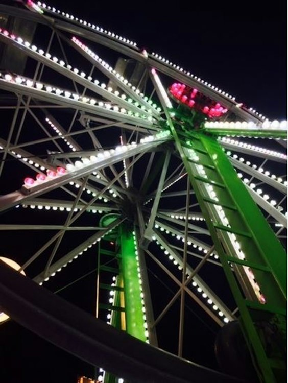 Adult Rides