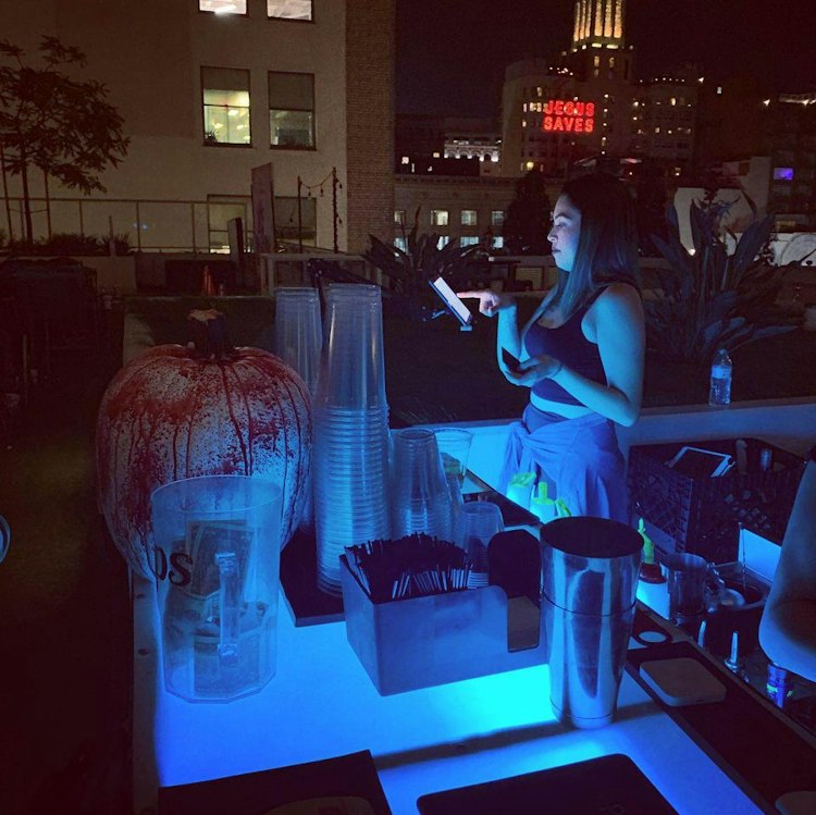 Bartender/Server
