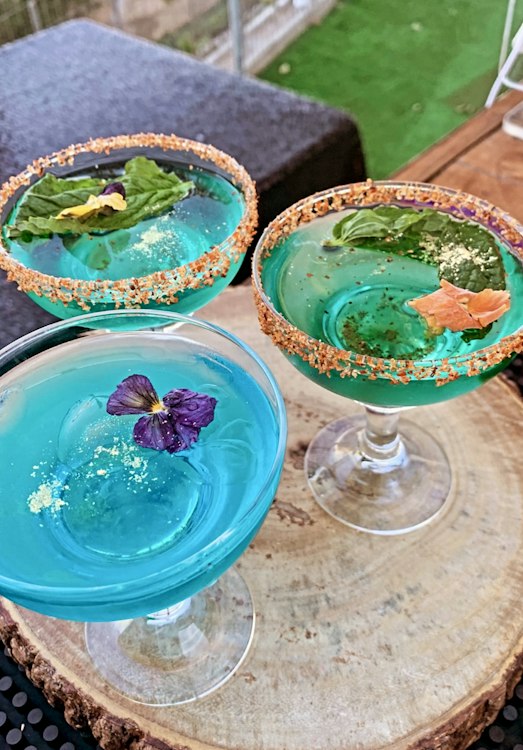 Luxury Bar Experience