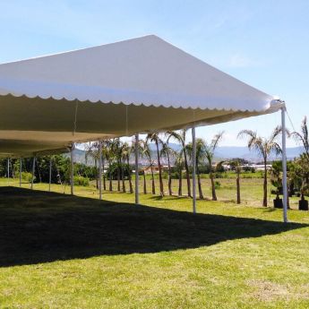 Carpas Elegantes
