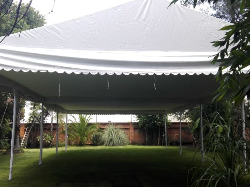Carpas Elegantes image 2