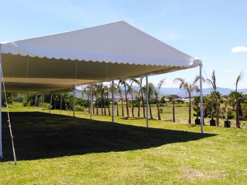 Carpas Elegantes image 3