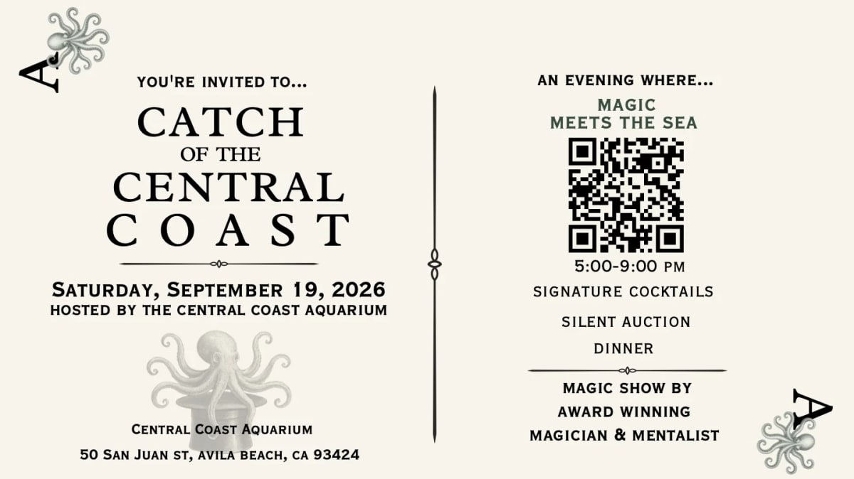 Catch of the Central Coast 2026 at Central Coast Aquarium on Sep 19, 2026