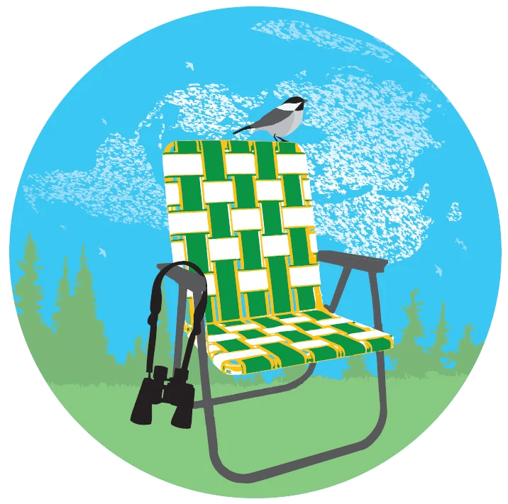 the Big Sit! at Birds of Vermont Museum on Oct 11, 2026