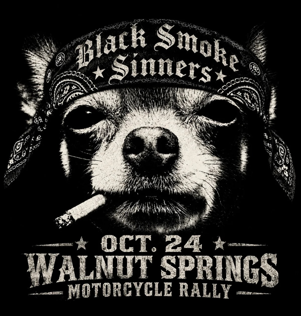 BLACK SMOKE SINNERS w/special guest Buck Fuffalo: Live at Walnut Springs Rally at Walnut Springs Roadhouse on Oct 24, 2026