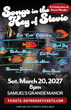 Songs In The Key Of Stevie