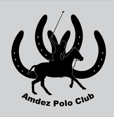 Featured Sunday Polo Matches