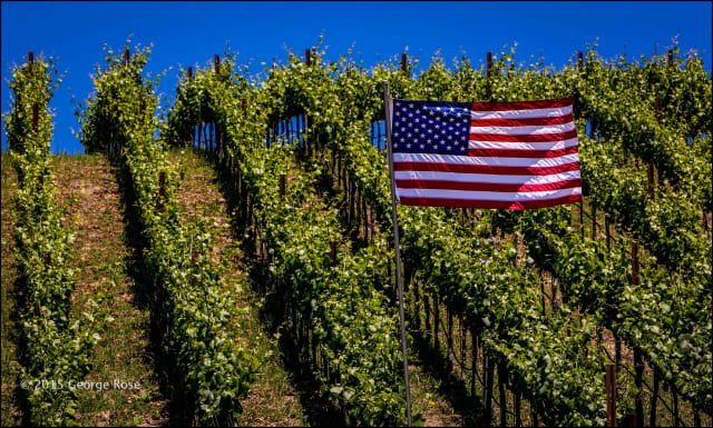 Central Coast Veterans Helping Veterans: venue logo