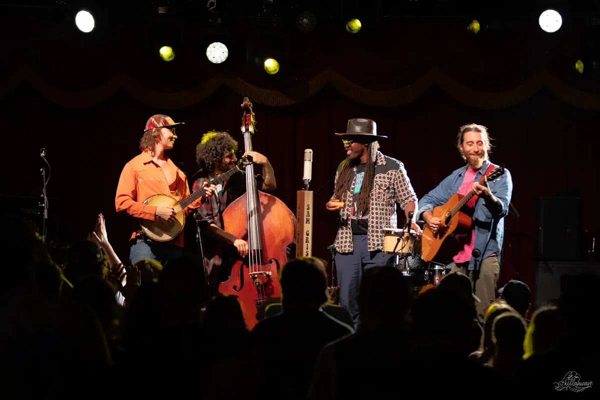Sam Grisman Project with Ladyfinger