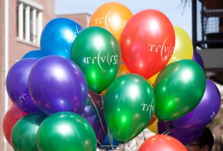 Bedrukte ballonnen 30cm / 12inch