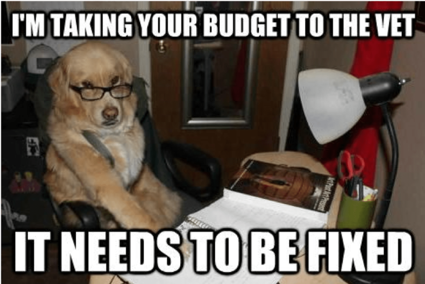 Teaching Finances With Funny Memes About Money Everfi
