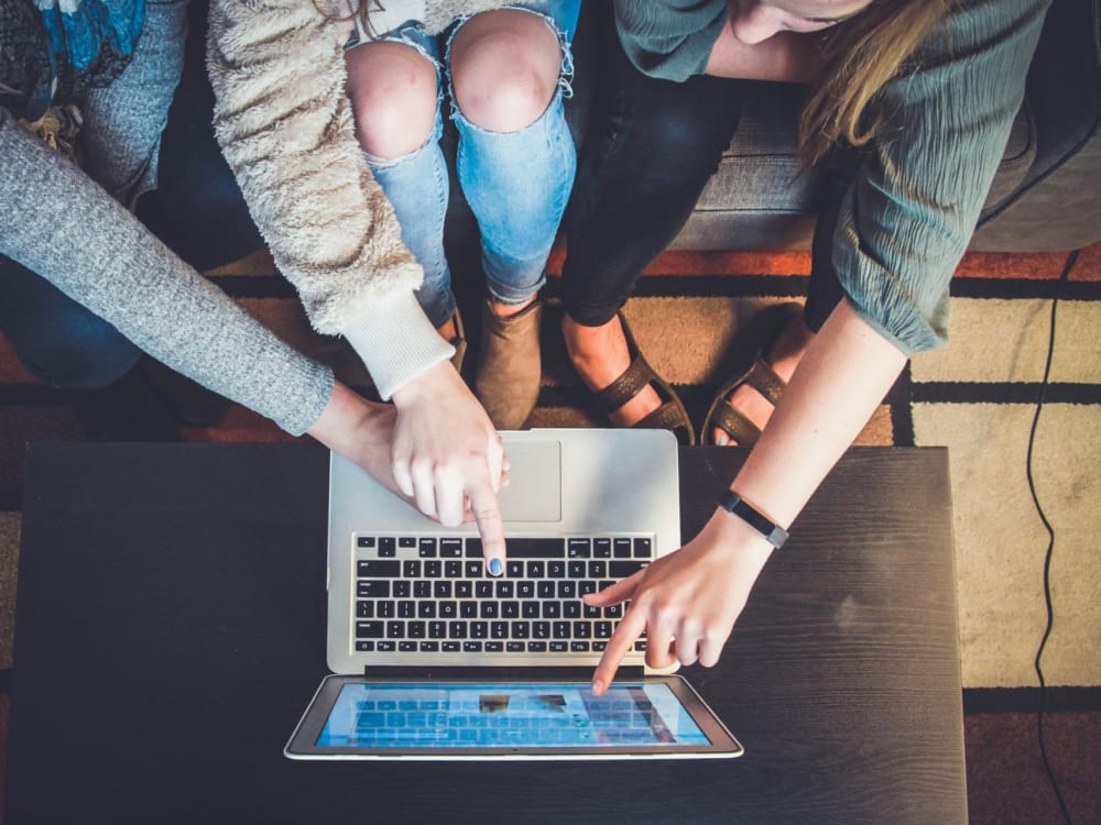 Creating a Loyal Consumer