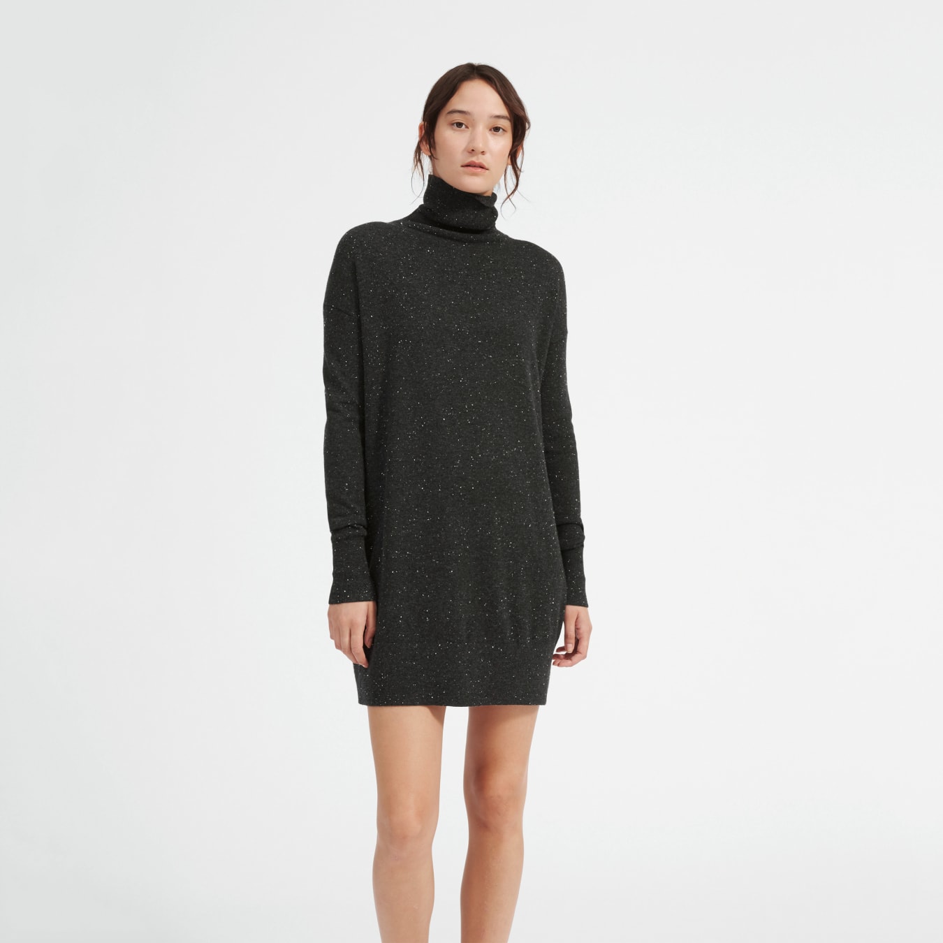 everlane turtleneck dress