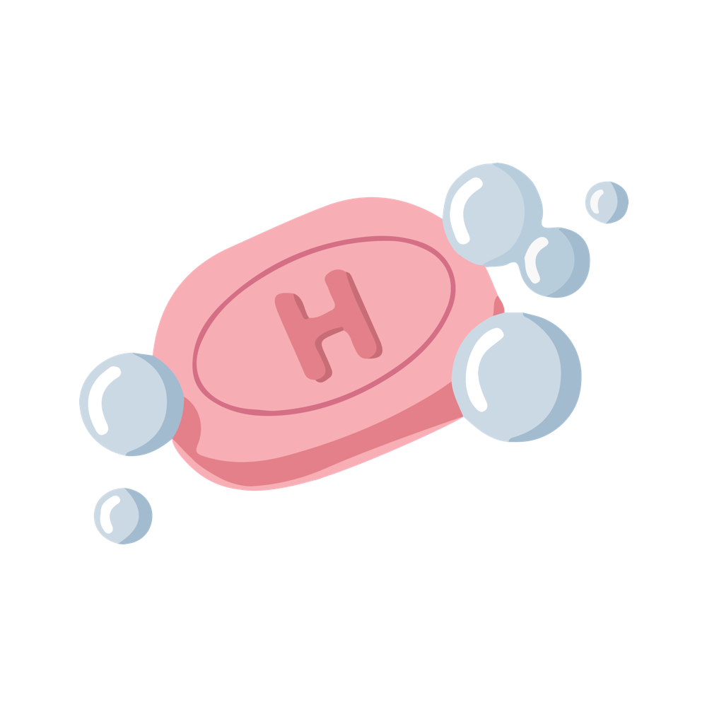 Understanding Hygiene