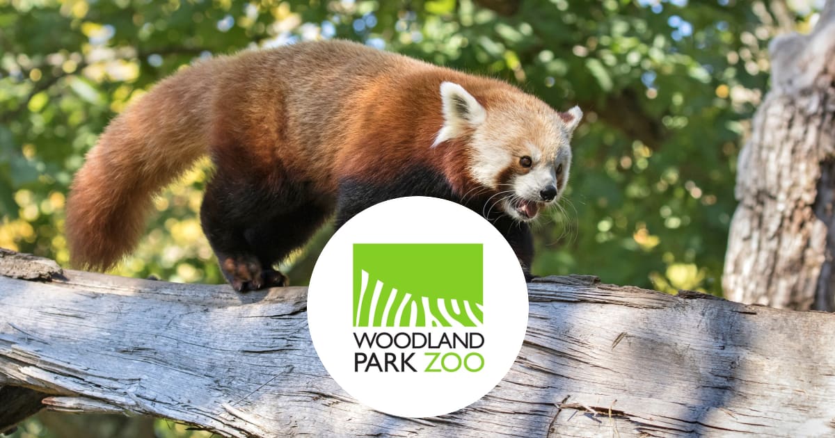 woodland park zoo virtual tour