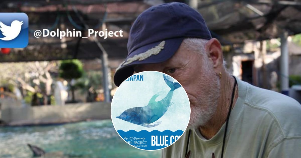 Ric O'Barry's Dolphin Project
