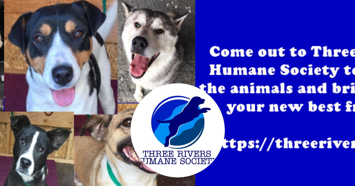 Three rivers animal shelter cheap