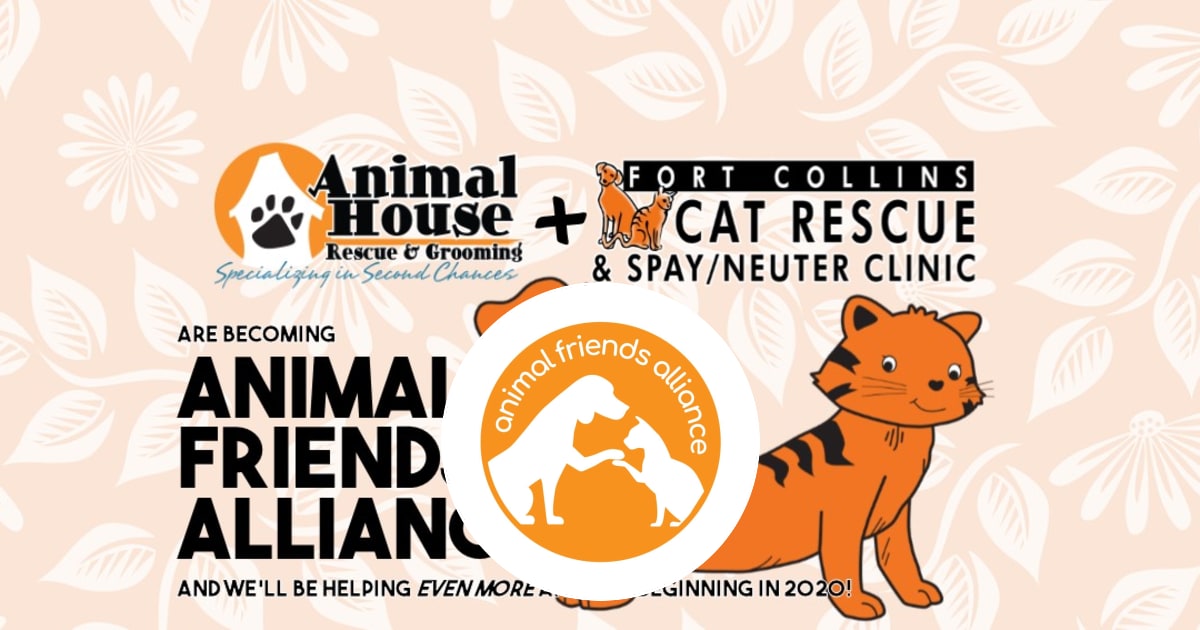 Animal Friends Alliance