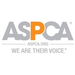 The American Society For The Prevention Of Cruelty To Animals