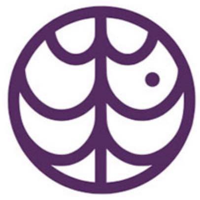 Glioblastoma Foundation