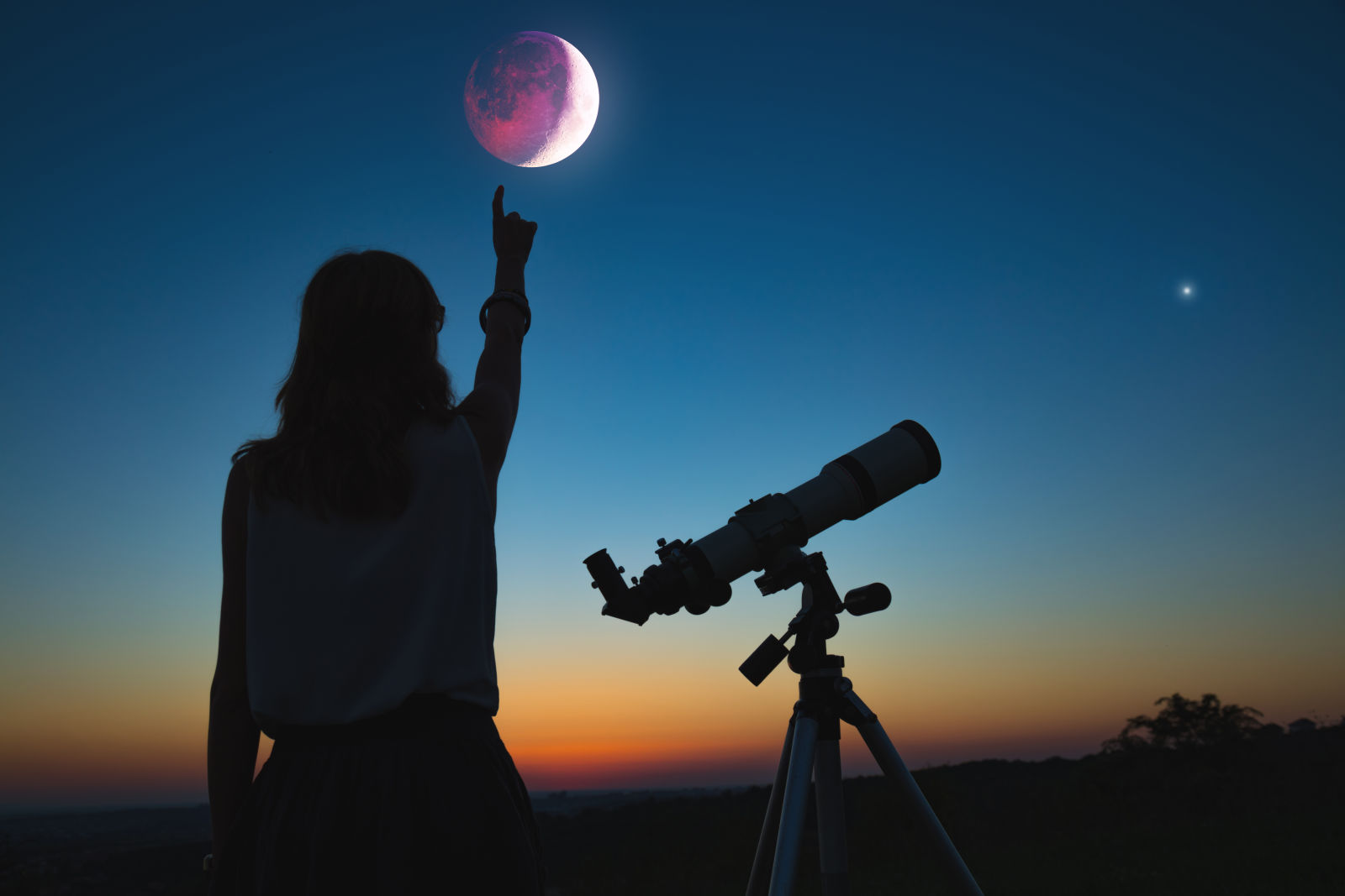 DreamScopes: put telescopes in every middle school on Earth!