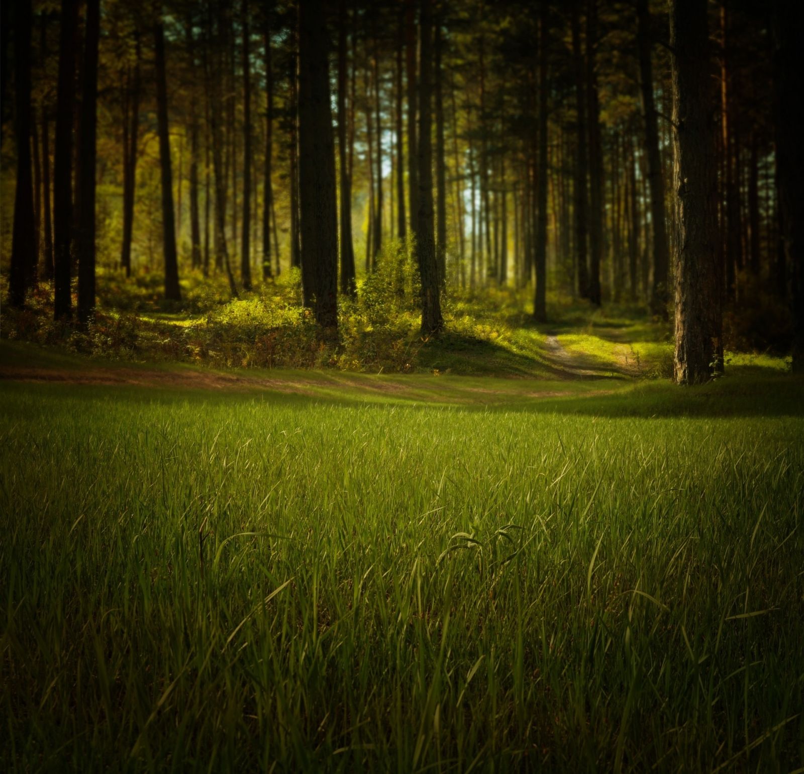 The Protect the Environment Fund