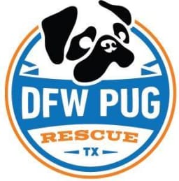 Dfw Pug Rescue Club logo