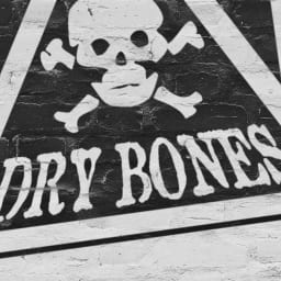 Dry Bones Denver logo