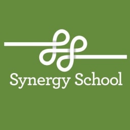 Synergy School logo